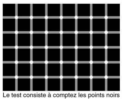 teste
